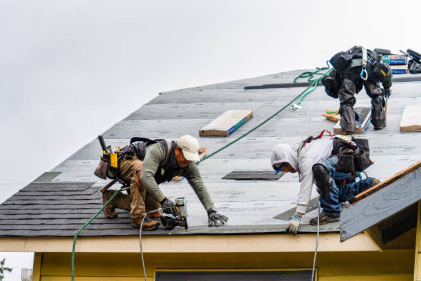 Professional Gutter Installation technician working in Loma, CO